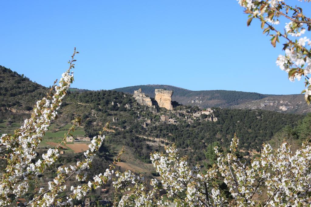 Gite La Cerise Qui Rit La Cresse Exterior photo